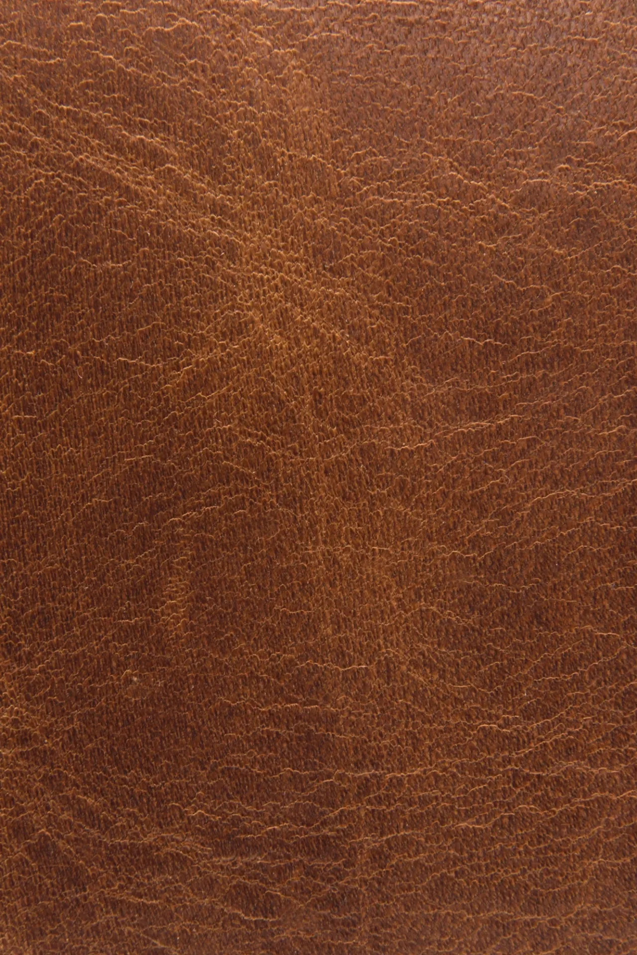 Frye Bags^Logan Top Handle