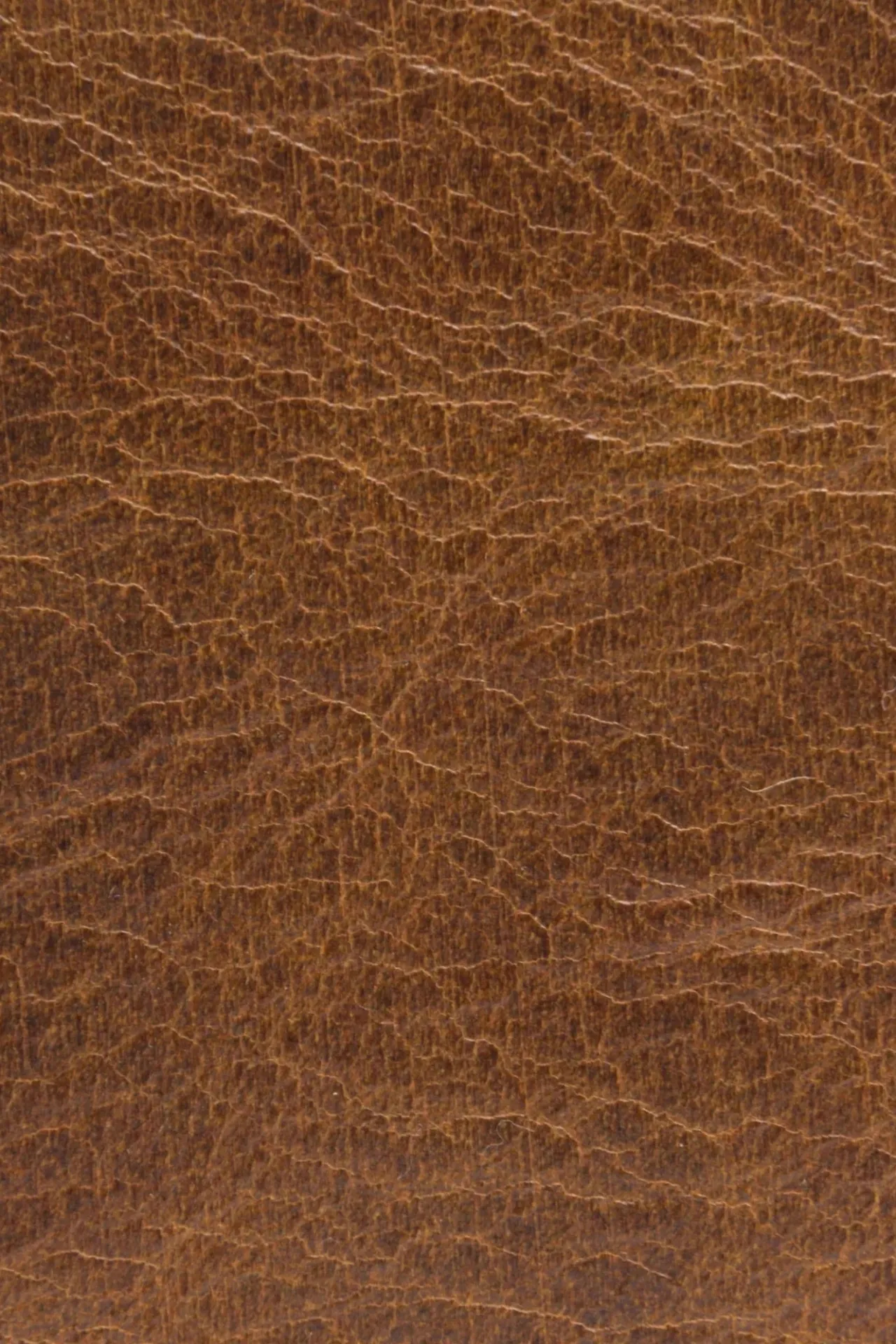 Frye Handbags^MELISSA CROSSBODY