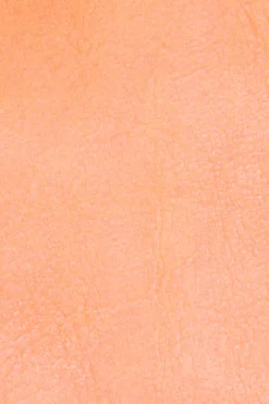 Frye Handbags^MELISSA CROSSBODY WRISTLET