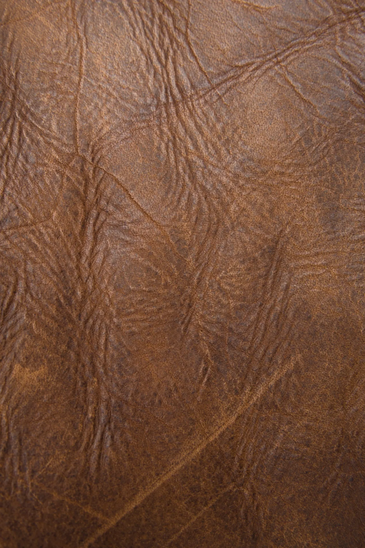 Frye Handbags^Melissa Satchel