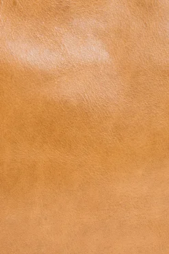 Frye Handbags^Melissa Swing Pack